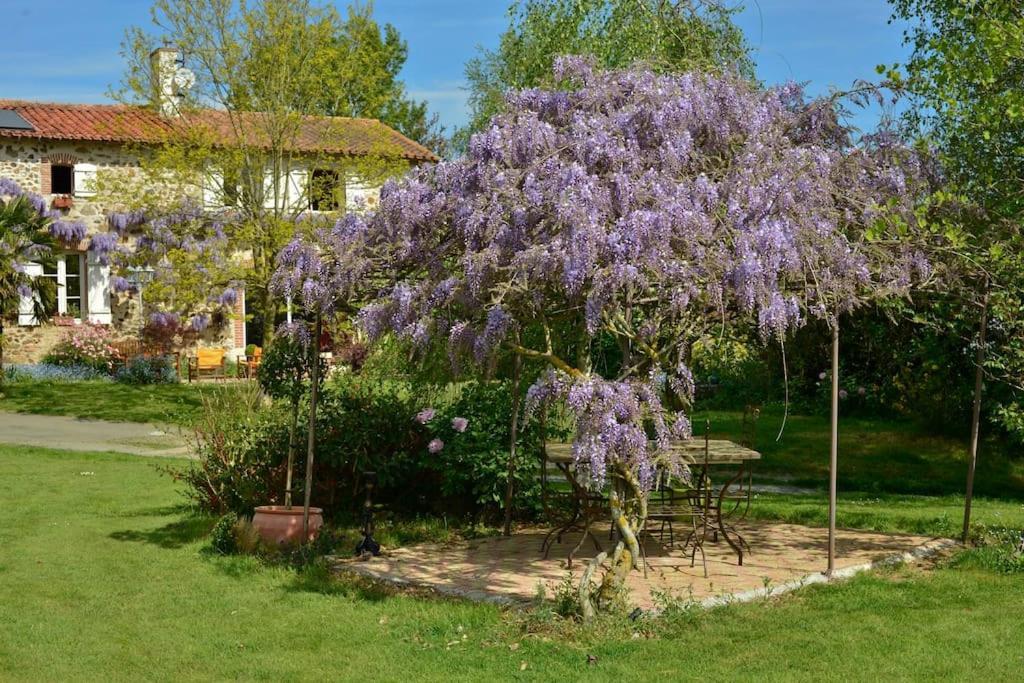 La Frapperie Bed & Breakfast La Pommeraie-sur-Sèvre Eksteriør bilde