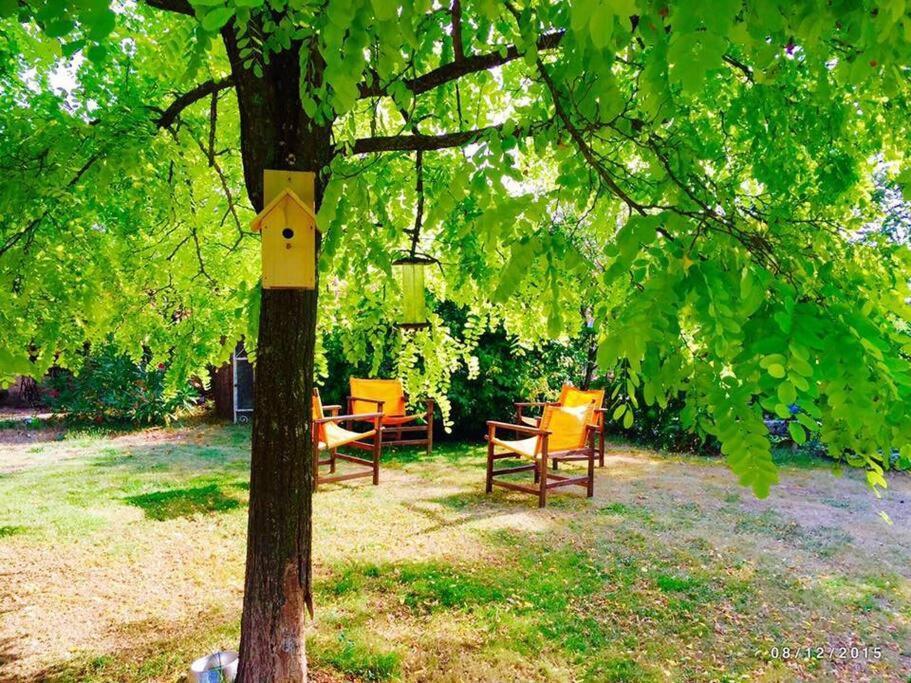 La Frapperie Bed & Breakfast La Pommeraie-sur-Sèvre Eksteriør bilde