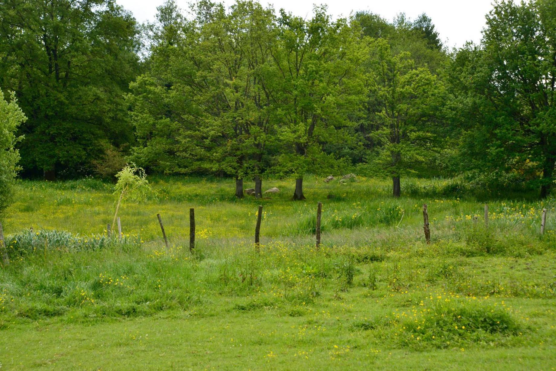 La Frapperie Bed & Breakfast La Pommeraie-sur-Sèvre Eksteriør bilde